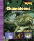 Chameleons and Other Animals With Amazing Skin