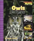 Owls and Other Animals With Amazing Eyes