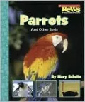 Parrots and Other Birds