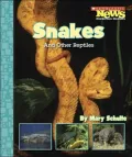 Snakes and Other Reptiles