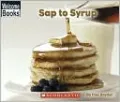 Sap to Syrup by Inez Snyder — book cover