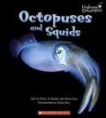 Octopuses and Squids