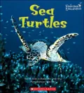 Sea Turtles (Undersea Encounters Series)