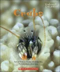 Crabs