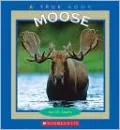 Moose