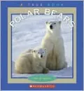 Polar Bears