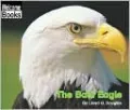 The Bald Eagle (American Symbols: Welcome to Reading Books Series