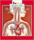 How Does Your Heart Work?