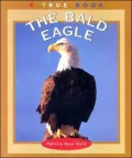 The Bald Eagle
