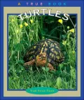 Turtles