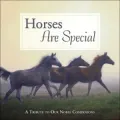 Horses Are Special : A Tribute to Our Noble Companions