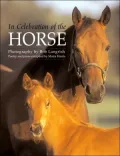 In Celebration of the Horse