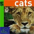 Cats: From Tigers to Tabbys