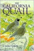 The California Quail