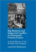 Big Business and Industrial Conflict in Nineteenth-Century France