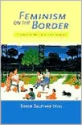 Feminism on the Border: Chicana Gender Politics and Literature