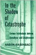 In the Shadow of Catastrophe: German Intellectuals Between Apocalypse and Enlightenment