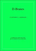 D-Branes