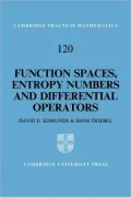 Function Spaces, Entropy Numbers, Differential Operators