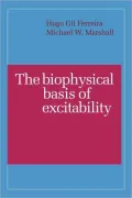 The Biophysical Basis of Excitability