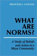 What Are Norms?: A Study of Beliefs and Action in a Maya Community