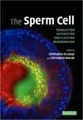 The Sperm Cell: Production, Maturation, Fertilization, Regeneration