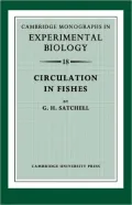 Circulation in Fishes
