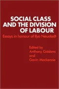 Social Class and the Divison of Labour