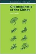 Organogenesis of the Kidney
