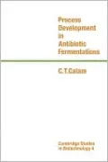 Process Development in Antibiotic Fermentations