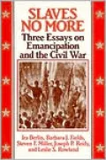 Slaves No More: Three Essays on Emancipation and the Civil War
