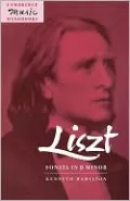 Liszt: Sonata in B Minor: (Cambridge Music Handbooks Series)