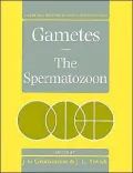 Gametes - The Spermatozoon
