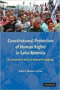 Constitutional Protection of Human Rights in Latin America: A Comparative Study of Amparo Proceedings