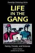Life in the Gang: Family, Friends, and Violence