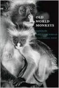 Old World Monkeys