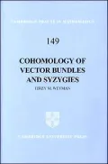 Cohomology of Vector Bundles and Syzgies