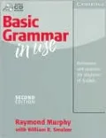 Basic Grammar in Use (Grammar in Use Series)