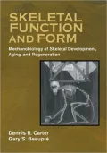 Skeletal Function and Form: Mechanobiology of Skeletal Development, Aging, and Regeneration