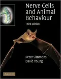 Nerve Cells and Animal Behaviour