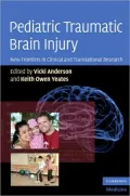 Pediatric Traumatic Brain Injury: New Frontiers in Clinical and Translational Research