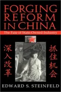 Forging Reform in China : The Fate of State-Owned Industry