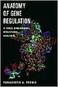 Anatomy of Gene Regulation: A Three-Dimensional Structural Analysis