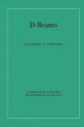 D-Branes