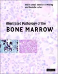 Illustrated Pathology of Bone Marrow
