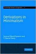 Derivations in Minimalism