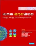Human Herpesviruses: Biology, Therapy, and Immunoprophylaxis