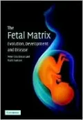 Fetal Matrix: Evolution, Development and Disease