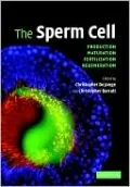 Sperm Cell: Production, Maturation, Fertilization, Regeneration