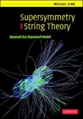 Supersymmetry and String Theory: Beyond the Standard Model